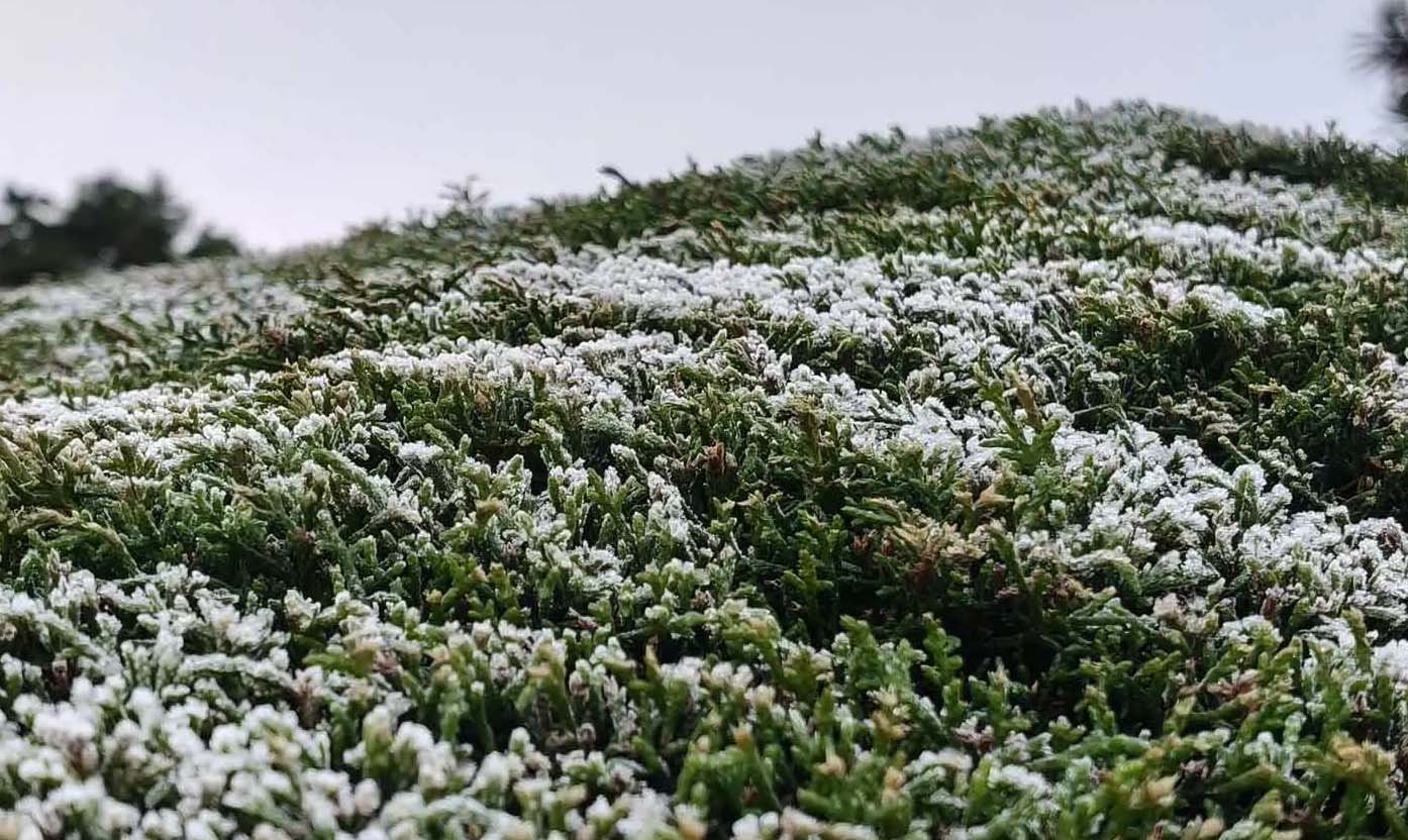 ஊட்டியில் கடும் உறைபனி  குளிரால் மக்கள் பெரும் அவதி